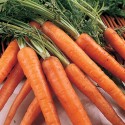 carrots