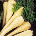 parsnips